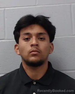 Mugshot of Marvin Avila-Carreto
