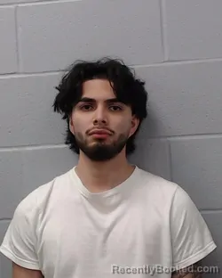 Booking photo from Hays County, Texas