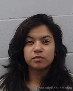 Mugshot of Adina Verastegui