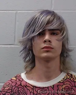 Mugshot of Pierce James Sullivan