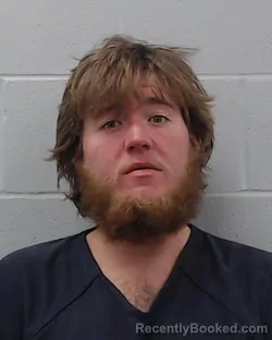 Mugshot of Morgan Kimber Potts