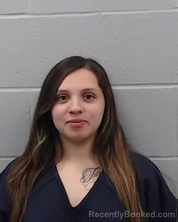 Mugshot of Ana Lizette Flores