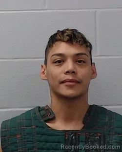 Mugshot of Danny Javier Hall