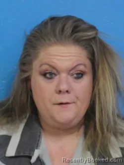 Booking photo from Sullivan County, Tennessee