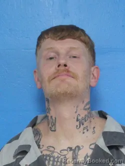 Mugshot of TRAVIS JAY CRAWFORD