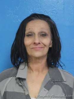 Mugshot of RHONDA WILSON BRADLEY