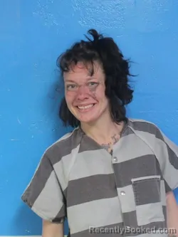 Mugshot of BETHANY RENEE TIPTON