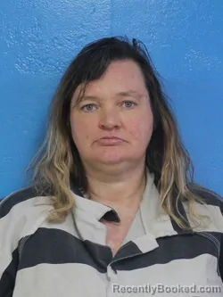 Mugshot of MARTY ALLISON HARPER