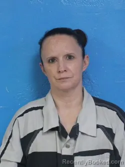 Mugshot of REBECCA ANN SPEARS