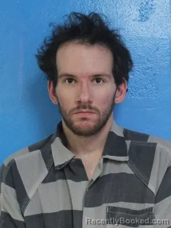 Mugshot of DYLAN MITCHELL WARREN