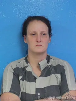 Mugshot of JANIE DANIELLE WILLIAMS