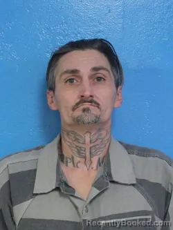 Mugshot of HANK AARON WILLIAMS