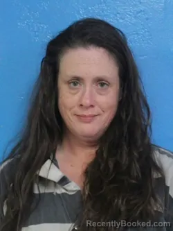 Mugshot of AMANDA LEIGH TUNNELL