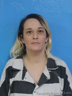 Mugshot of CHEYENNE NICOLE GOINS