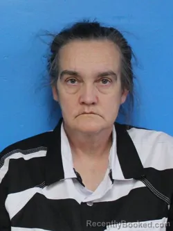 Mugshot of REBECCA LEE SHERFEY