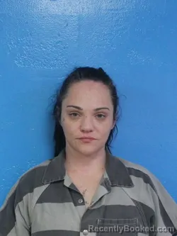 Mugshot of AMBER NICOLE STOUT