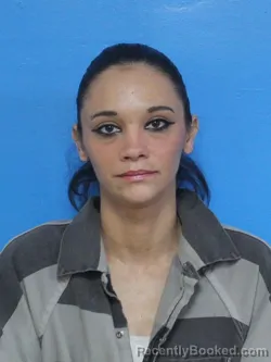 Mugshot of BRITTANY LYNN WILSON