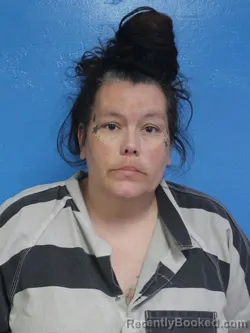 Mugshot of TARA LYNN TAYLOR