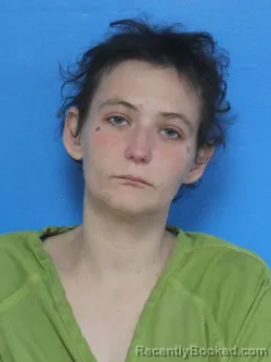 Mugshot of MINNIE ELIZABETH SHEPARD