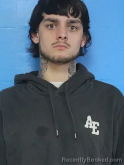 Mugshot of DYLAN GREGORY HERRON