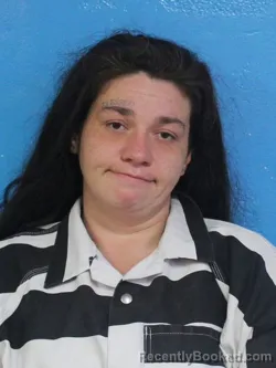 Mugshot of KIMBERLY MARIE CHRISTIAN