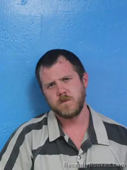 Mugshot of BRIAN HARLEN DONY