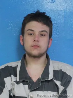 Mugshot of DAVID LEE NASH