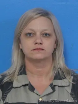 Mugshot of BRANDI NICOLE DAVIS