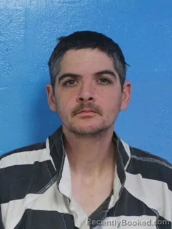 Mugshot of BOBBY LEE LANIER