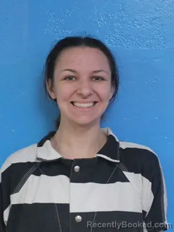 Mugshot of AMY NICOLE BADGER