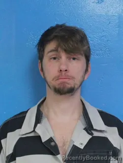 Mugshot of ADAM RYAN MICHAELS