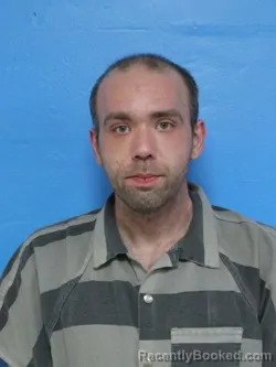 Mugshot of DAVID LEE FREEMAN