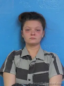 Mugshot of BOBBI SUE BLIX