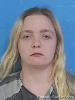 Mugshot of ALLISON KRISTA MINER