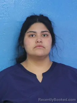 Mugshot of LISA MICHELLE TEODORO