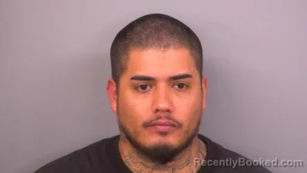 Mugshot of DANIEL JESUS IRIZARRY