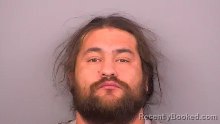 Booking photo from Sumner County, Tennessee