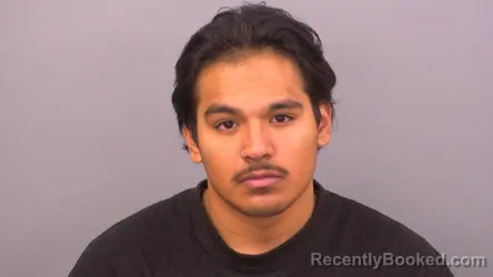 Mugshot of MICHAEL MAX SANCHEZ