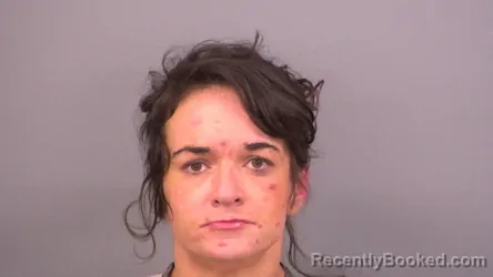 Booking photo from Sumner County, Tennessee