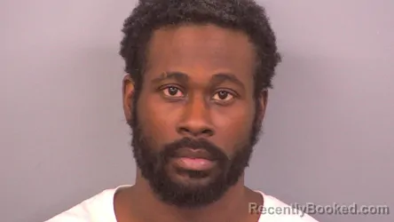 Mugshot of RONALD DAVID LYONS