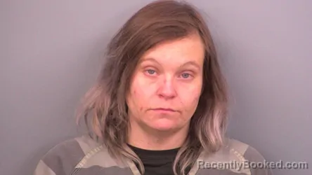 Mugshot of ABBY K HULSE