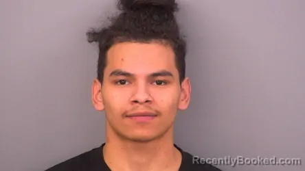 Mugshot of LUIS ELISEO BUCIO GARCIA