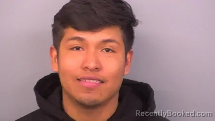 Mugshot of BRANDOL REYES ANTONIO
