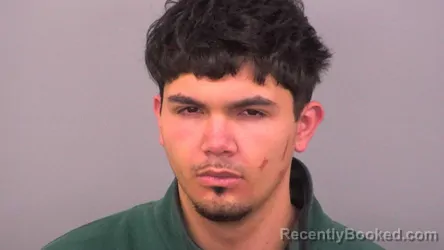 Mugshot of ANTHONY D WELLMAN