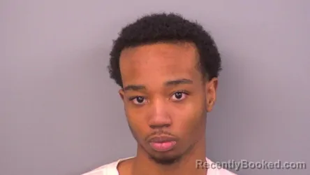 Mugshot of KYLEE WILLIAMS