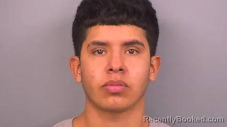 Mugshot of DAVID PERALES VALLE
