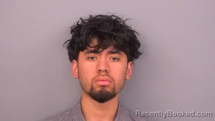 Mugshot of ALAN VIJAY JIMENEZ LLANOS