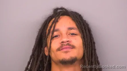 Mugshot of ALBERT BAILEY BRINKLEY