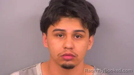 Mugshot of JOVANY FIGUEROA CORTEZ