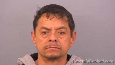 Mugshot of DAVID RICARDO MARTINEZ SILVIA